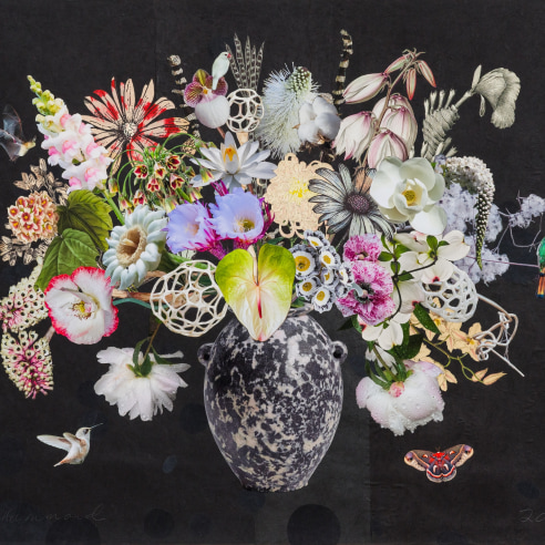 Jane Hammond