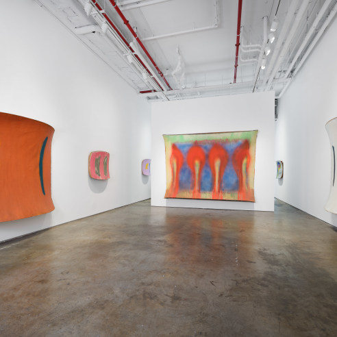 Installation view of Ron Gorchov, Vito Schnabel Gallery, 2024 in New York