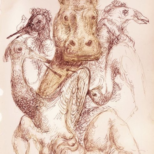 Drawing in red ink on white paper of realistic, large birds with a hippo in the center. The birds have long necks and look similar to peacocks or swans.  