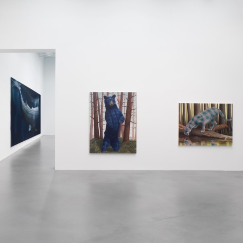 Sean Landers: North American Mammals