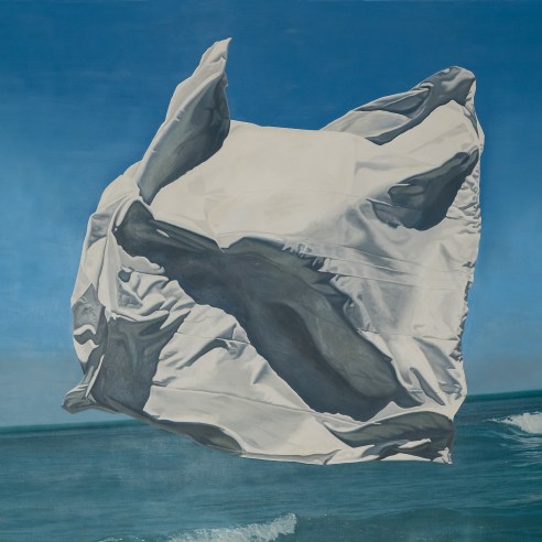 David Ligage (b. 1945), "Andros (Thrown Drapery)," 1977–78. Oil on canvas, 78 x 110 in. (detail).