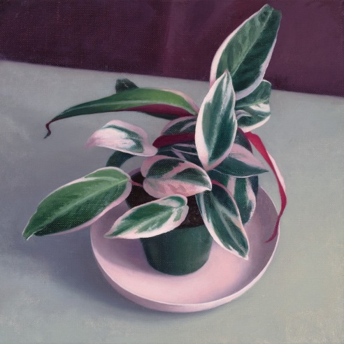 a still-life painting by Amy Weiskopf of pink and green plant on a pink plate