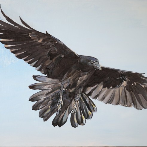 a painting by James Everett Stanley of a raven flying