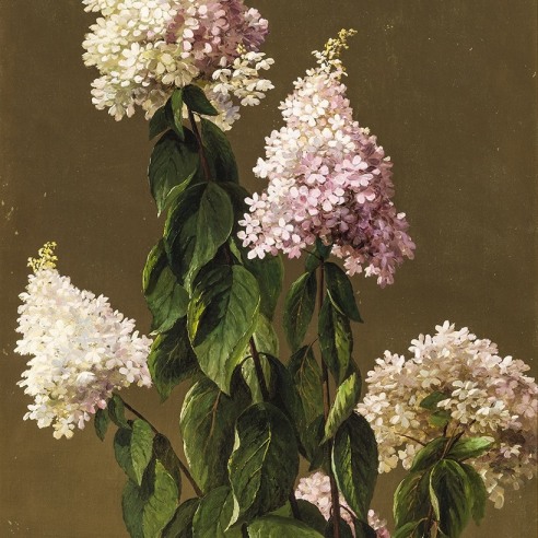 JOHN ROSS KEY (1832–1920) "Hydrangeas and Other Garden Flowers," 1882. Oil on canvas, 36 x 20 in. (detail).