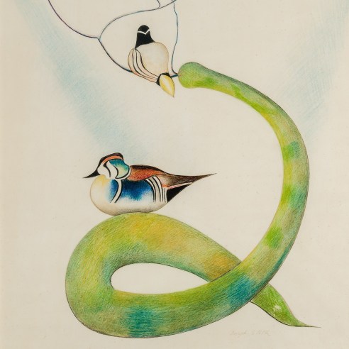 JOSEPH STELLA (1877–1946), "Two Wood Ducks on a Flowering Branch," about 1920–25. Pencil, crayon, and colored pencil on paper, 25 3/4 x 22 1/4 in. (detail).