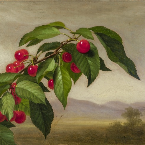 GEORGE HENRY HALL (1825–1913), "Branch of Cherries," 1875. Oil on canvas, 10 3/8 x 15 in. (detail).