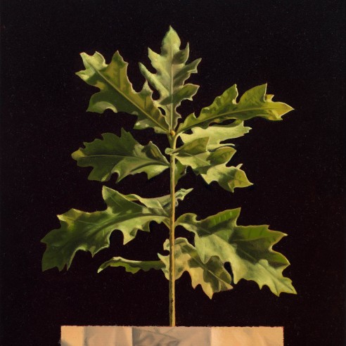 David Ligare (b. 1945), "Ordine Naturae (The Order of Nature)," 2015. Oil on canvas, 14 x 10 in. (detail).