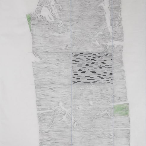 a work on paper by Maria Elena Gonzalez combining a rubbing of birch bark with abstract elements like thick dash lines and green rectangles