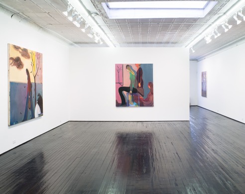 Heidi Hahn exhibition gallery view