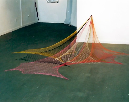 Installation view of multicolored net work