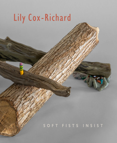cover to exhibition catalog for Lily Cox-Richard "Soft Fists Insist" at Hirschl & Adler Modern, showing one of Cox-Richard's sculptures