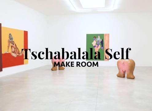 Tschabalala Self