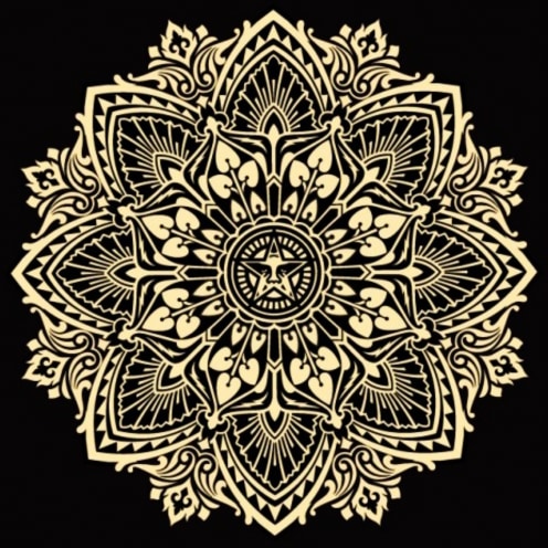Shepard Fairey