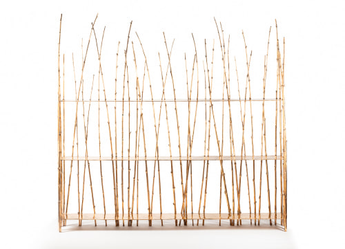 Visconti Bookshelves