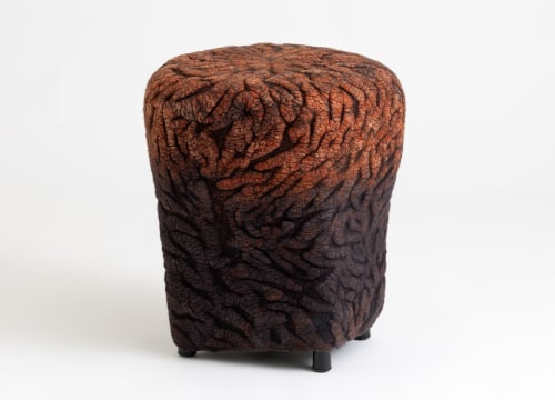 shastool serfaty