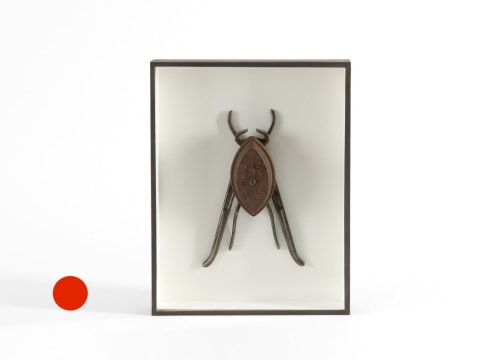 despont insect sculpture