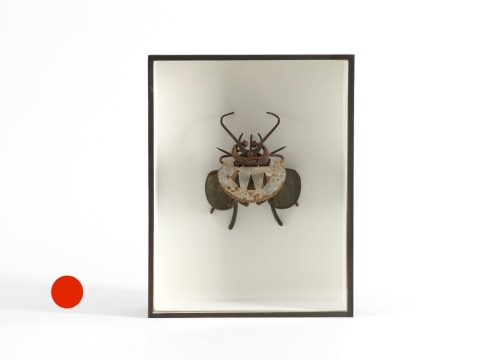 despont insect sculpture