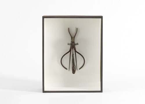 insect sculpture DESPONT