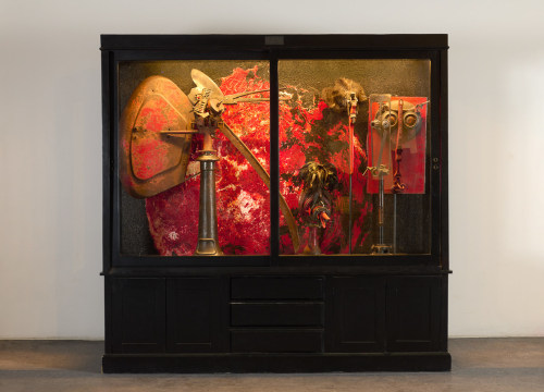 Thierry despont Cabinet of curiosities