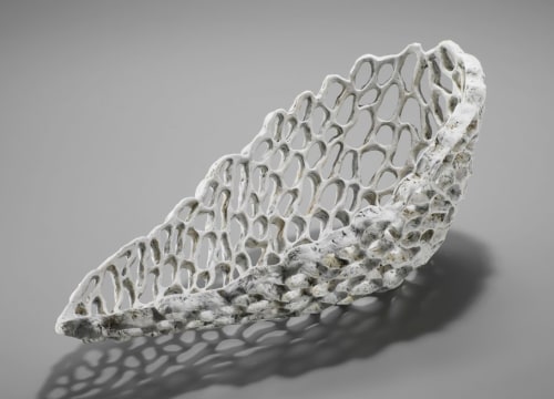 Organic shell
