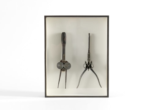 despont insect sculpture