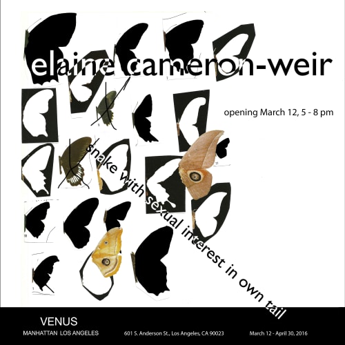 Elaine Cameron-Weir - snake with sexual interest in own tail - Exhibitions - Venus Over Manhattan
