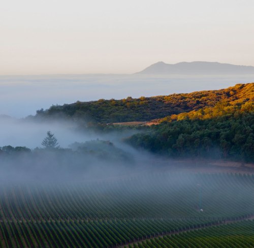 History of Kenzo Estate Napa Valley