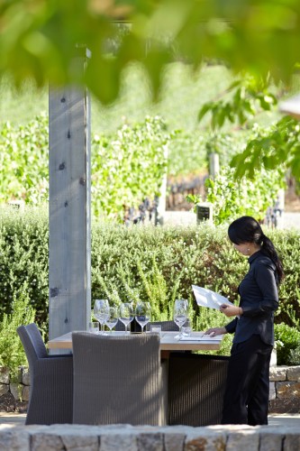 Visit Kenzo Estate Winery and Vineyards Napa Valley | Make winery appointments