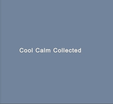 Cool Calm Collected - Danese Catalogue - Publications - Danese/Corey