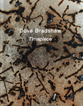 Dove Bradshaw: Timepiece - Publications - Danese/Corey