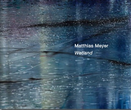 Matthias Meyer: Wetland - Publications - Danese/Corey