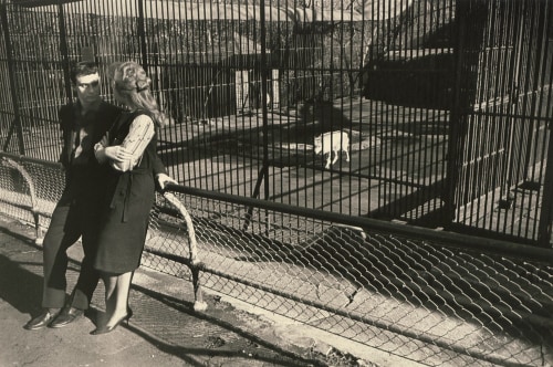 Garry Winogrand- Couple at Zoo Looking at Each Other