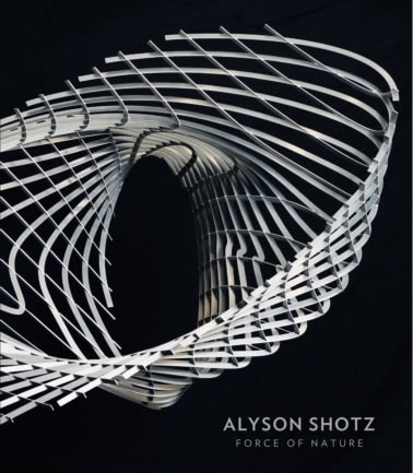 Alyson Shotz - Force of Nature - Publications - Derek Eller Gallery