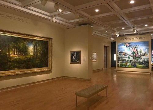 Installation View, "Eclectic Ecology," Cummer Museum 2020