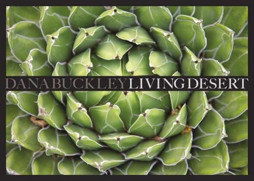 'Dana Buckley: Living Desert' at the Bruce Museum