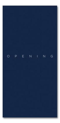Opening - Jungjin Lee - Publications - Howard Greenberg Gallery