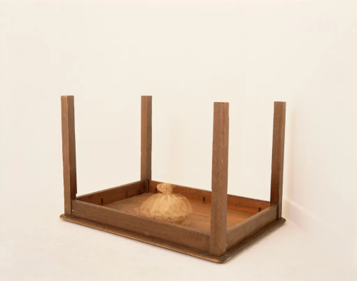 Lucia Nogueira, No Time for Commas, 1993, battery-operated toy, paper bag, and wood. Bienal de São Paulo.