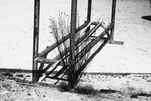 Black and white photo of metal gate and desert landscape