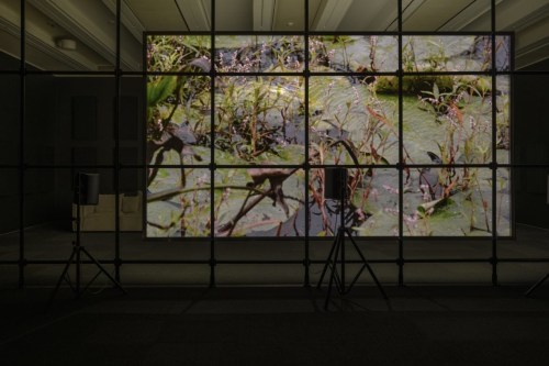 Gallery installation of video projected onto wall