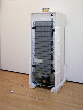 Lucia Nogueira,&amp;nbsp;Hide and Seek, 1997,&amp;nbsp;refrigerator, packing material, framed photograph, dimensions variable.