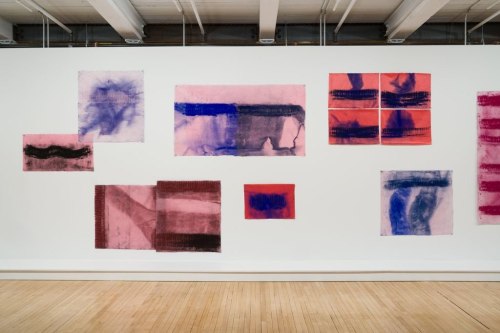 Wall of abstract paintings on paper, red and blue