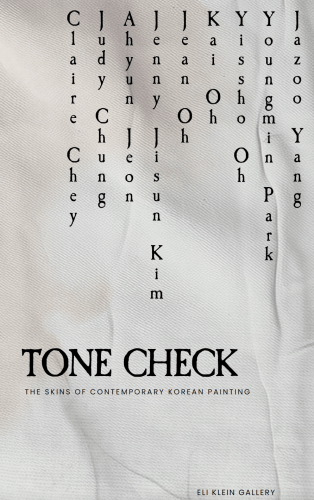 Tone Check: The Skins of Contemporary Korean Painting - Publications - Eli Klein Gallery