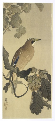 Ohara Koson - Jay on an Oak Branch - Artworks - Joan B Mirviss LTD | Japanese Fine Art | Japanese Ceramics