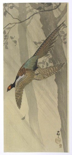 Ohara Koson - Pheasant flying in rain - Artworks - Joan B Mirviss LTD | Japanese Fine Art | Japanese Ceramics