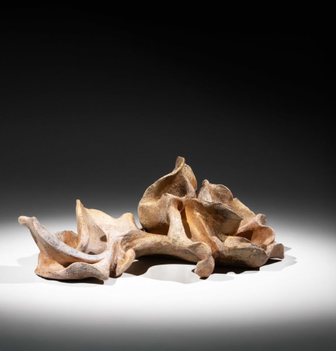 Takemura Yuri - Wild Flower - Artworks - Joan B Mirviss LTD | Japanese Fine Art | Japanese Ceramics