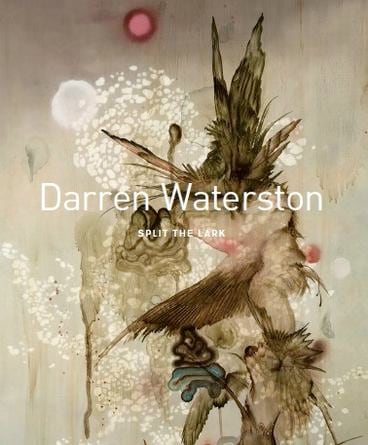 Darren Waterston: Split the Lark -  - Publications - DC Moore Gallery