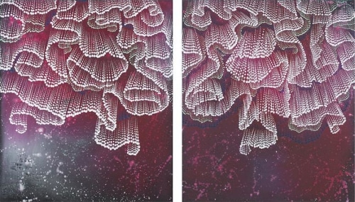 Folds, 2015, Acrylic on linen, 42 x 36 inches (each)
