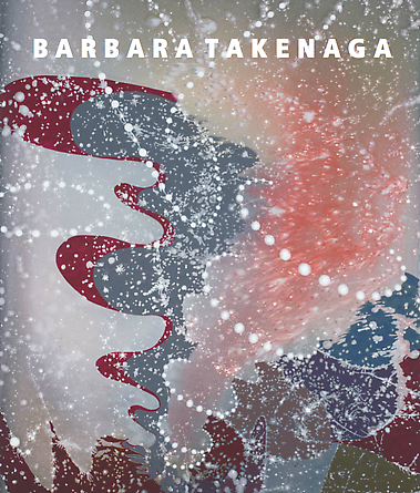 Barbara Takenaga: New Paintings, 2013 -  - Publications - DC Moore Gallery