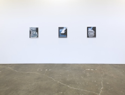 Installation view of Brian Scott Campbell in "Whole Cloth" at Site131