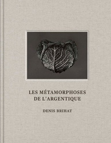 Denis Brihat - Les Métamorphoses de l’argentique - Publications - Nailya Alexander Gallery